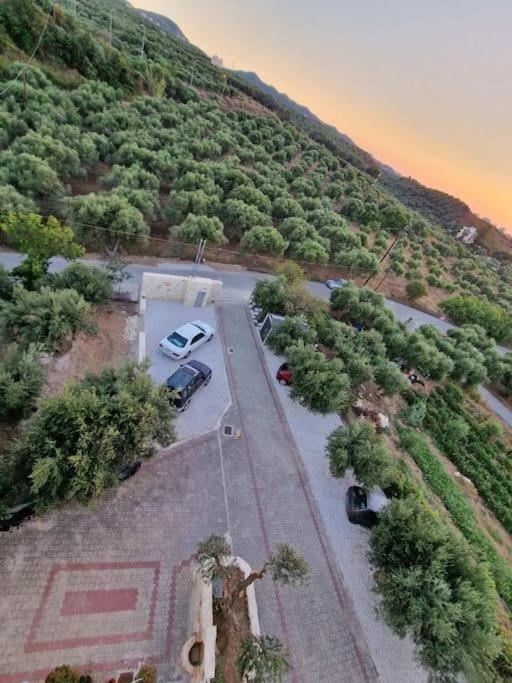 Olive Grove Semesterbostad