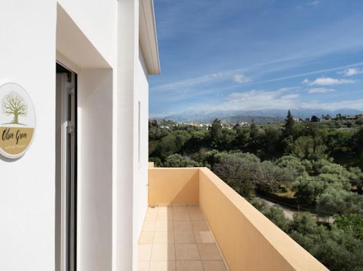 Olive Grove Semesterbostad *